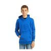 Offering Discounts Ariat@ Boys' Blue Logo Hoodie | * Best